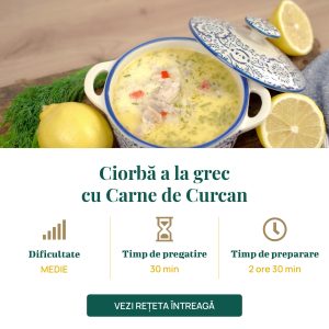 Ciorbă a la grec cu Carne de Curcan-01