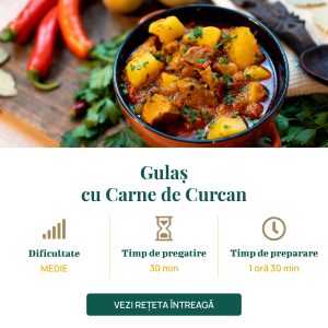 Gulaș cu Carne de Curcan-01