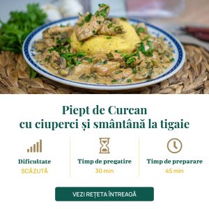 Piept de Curcan cu ciuperci și smântână la tigaie-01