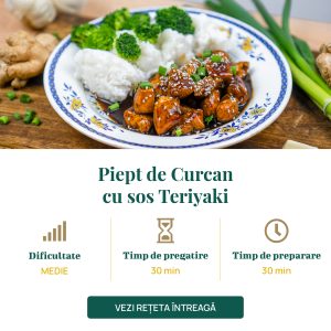 Piept de Curcan cu sos Teriyaki-01