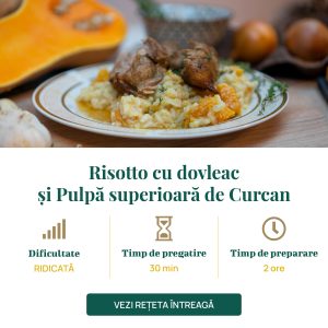 Risotto cu dovleac și Pulpă superioară de Curcan-01