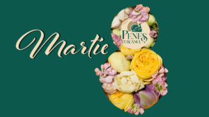 Un meniu în două feluri, potrivit pentru 8 Martie și pentru toată luna martie: rulouri din foietaj cu mușchiuleț de curcan și ciuperci, urmate de friptură din pulpă superioară de curcan cu sos de mandarine și vin roșu.